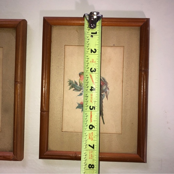 Sidney Z. Lucas New York City Framed Vintage Bird Prints - Picture 7 of 11